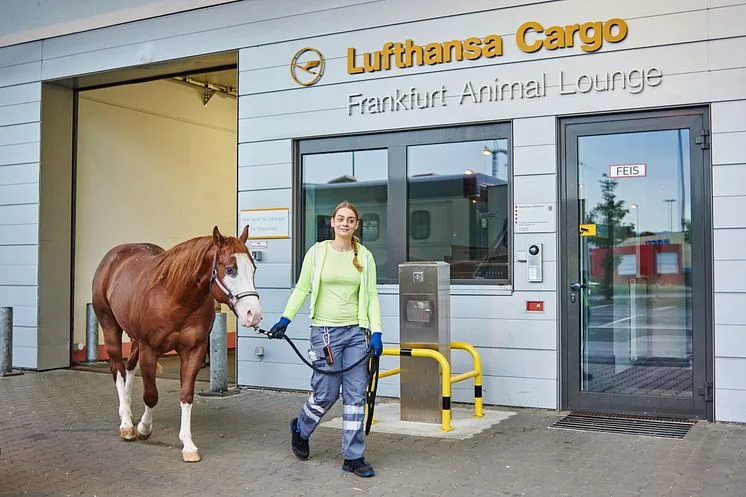 Frankfurt Airport animal arrival facility or airport guide