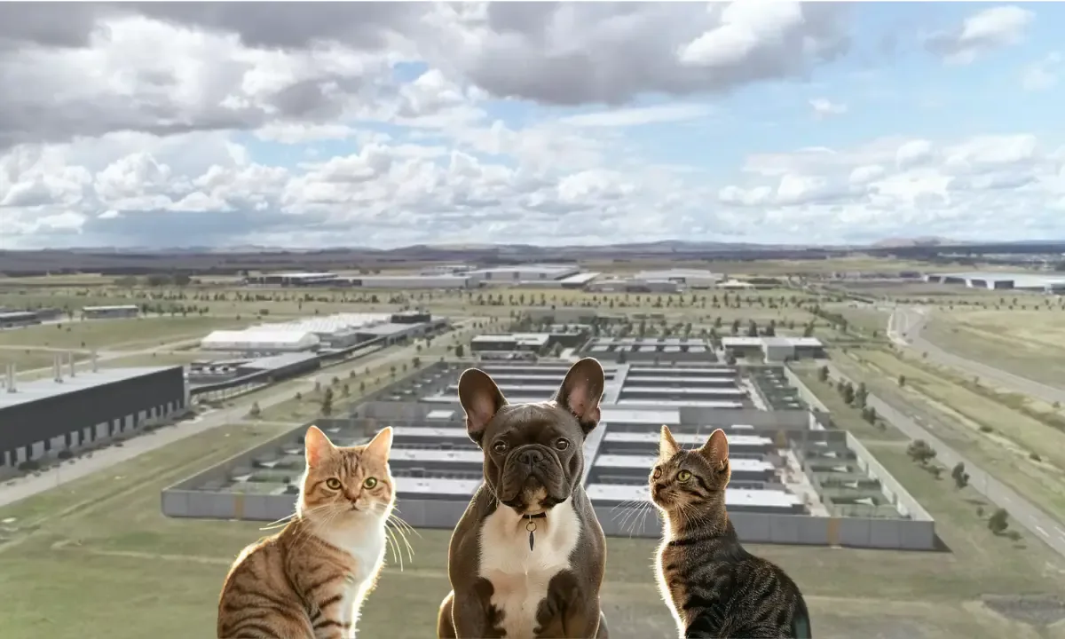 Melbourne Tullamarine animal arrival facility or airport guide