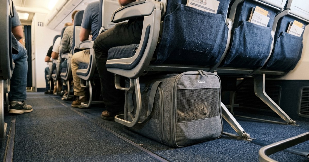 Soft pet carrier tucked safely under an airplane seat in the cabin