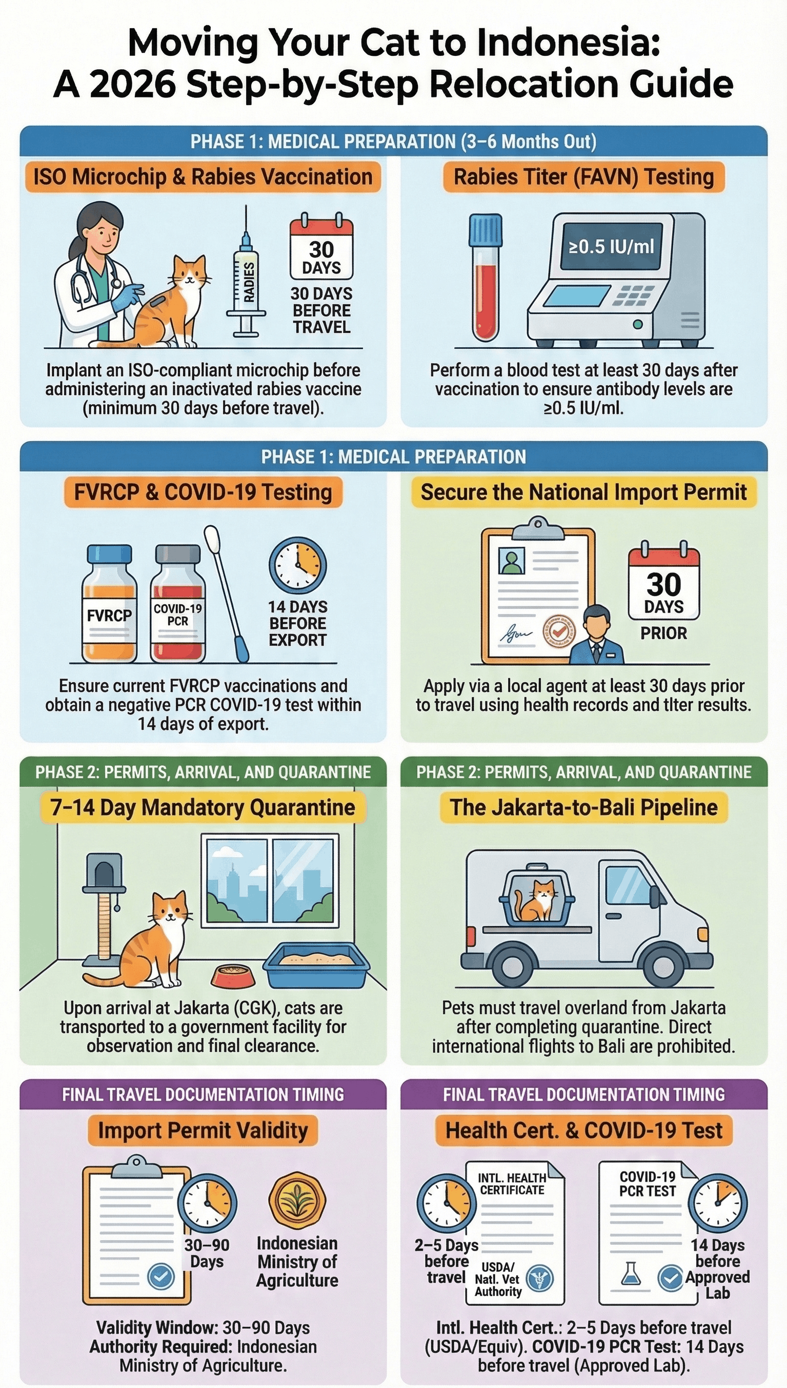 Infographic showing the complete Indonesia cat import process including steps, timeline and costs